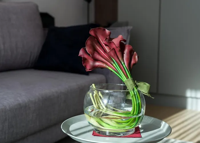 Apartment Garbary By Renters *