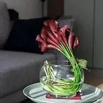 Apartment Garbary By Renters *