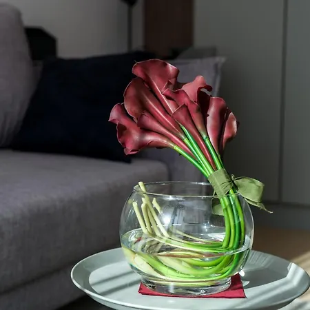 Apartment Garbary By Renters *